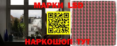 стаф Бугуруслан