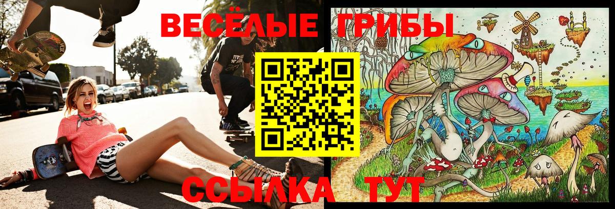 Псилоцибиновые грибы GOLDEN TEACHER  Вход с VPN  Заринск 