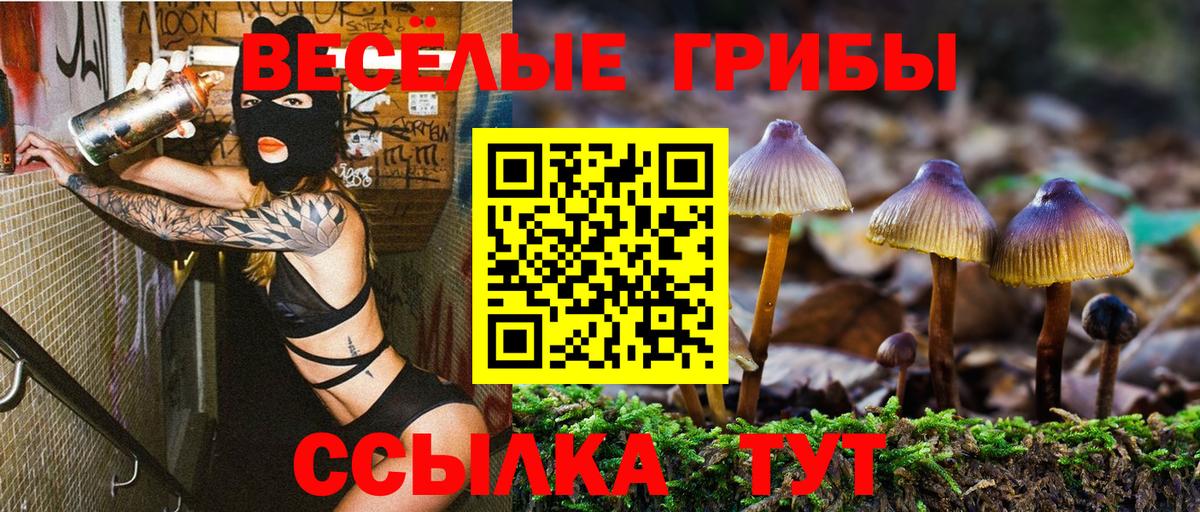 Альфа ПВП Заринск