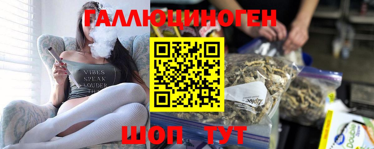 Псилоцибиновые грибы GOLDEN TEACHER Заринск